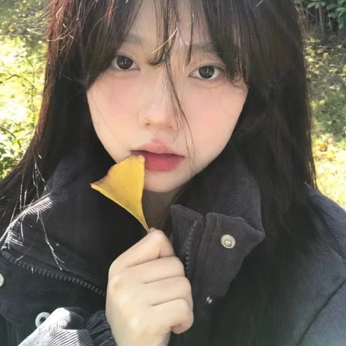 凝视动物的100种方式