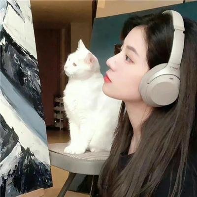 星级汪站长